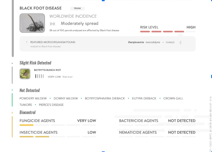 Sample report
