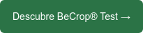 Descubre BeCrop Test →